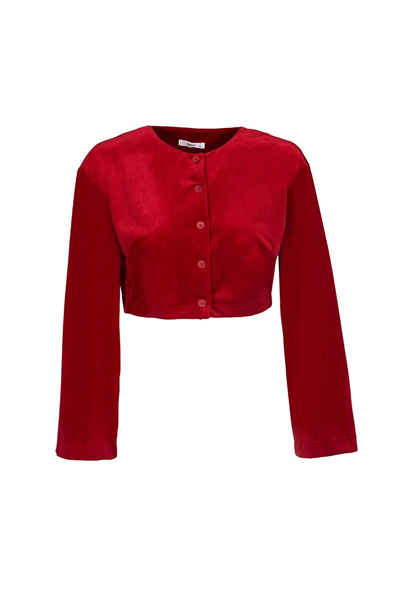 Red velvet long sleeve blouse